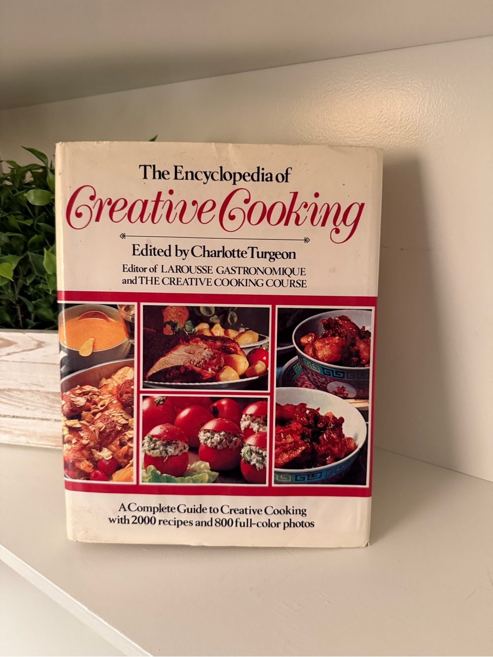 The Encyclopedia Of Creative Cooking Cookbook Recipes Cook Book Vintage 1984